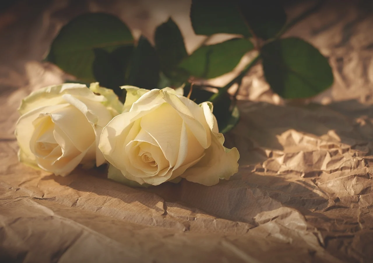 Herdenking einde woii witte roos