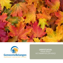 Bladkorven in Loon op Zand