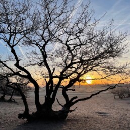 Toerisme en economie